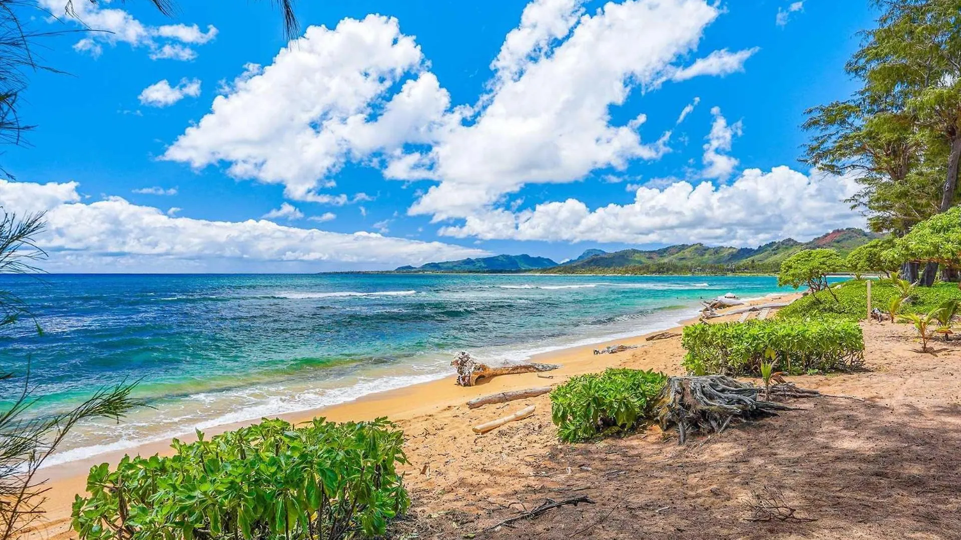 Appartement Islander On The Beach 328 Kapa'a