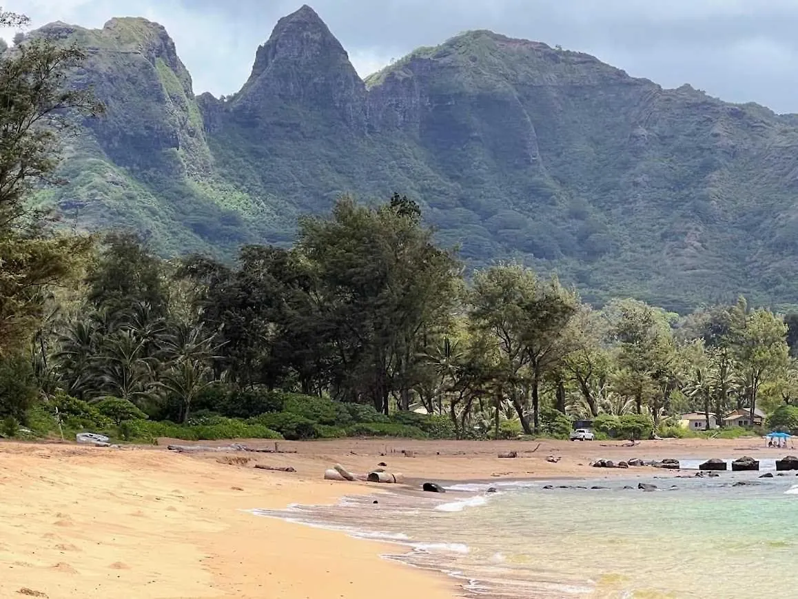 Islander On The Beach 328 Kapa'a